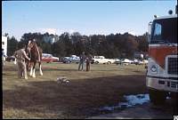 1980 Budweiser horses F'ville 03.jpg